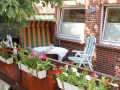 terrasse1